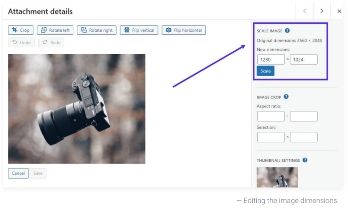 出海资讯如何为WordPress独立站的主题添加自定义图像大小？