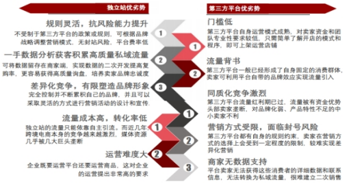 跨境出海卖家如何摆脱“亚马逊依赖症”，为何独立站成为新宠