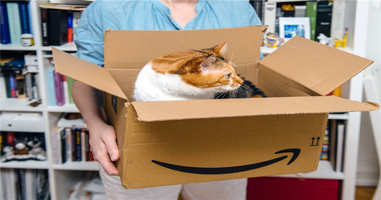 How to write the title of Amazon pet products in cross-border e-commerce logistics?