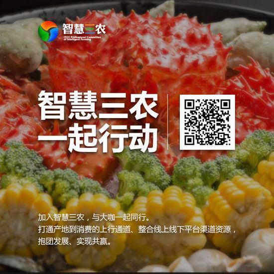 出海独家|食享会日交易额破3000万 月GMV将破亿