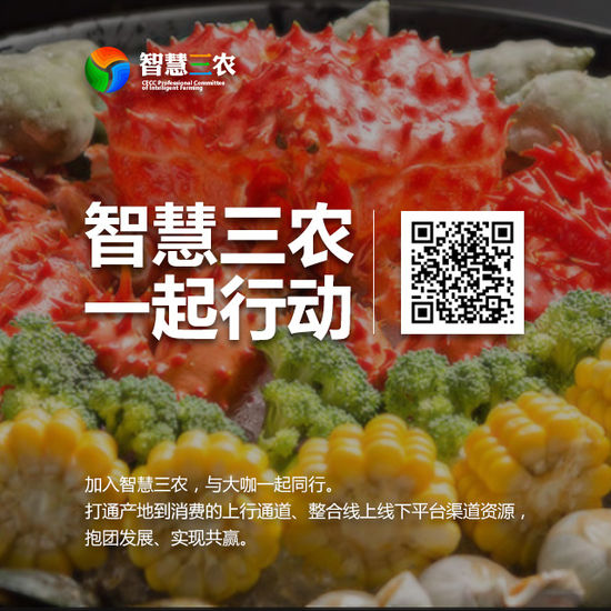 出海资讯九曳获正大集团数亿投资 共同抢滩冷链物流