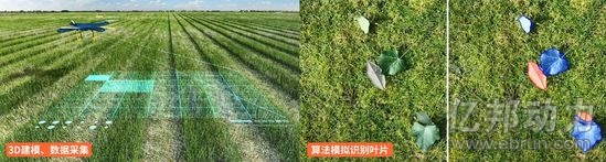 跨境电商平台大丰收发布AI植保方案 用性感算法赋能农业
