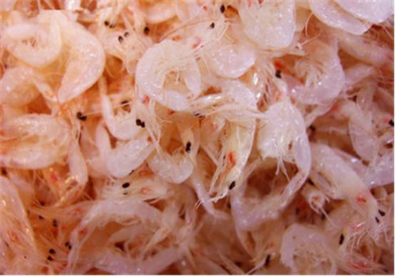 when buying shrimp skin, should you buy