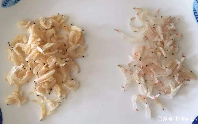 choose the shrimp skin to be light yellow or white. i'll teach you a few tricks. you won't be wrong in choosing the shrimp skin in the future!