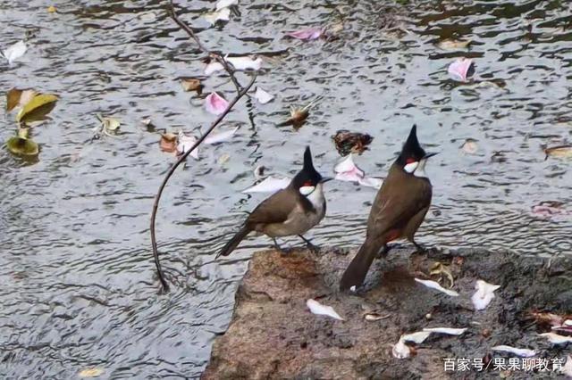 how about the overall environment of guangdong university of foreign studies? (lower)