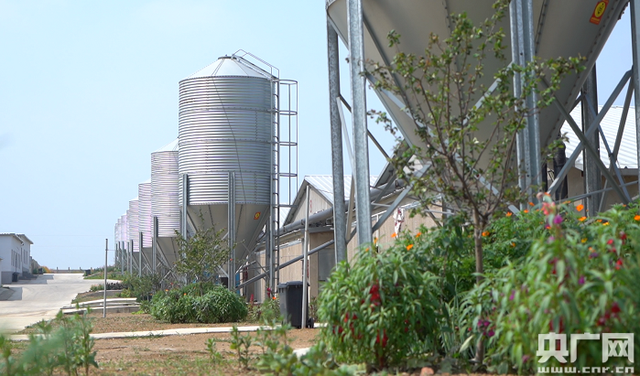 shenyang, liaoning: create a good business environment and stabilize the basic market of foreign trade