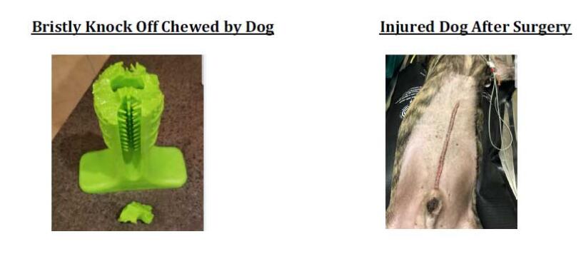 出海资讯赶快下架！这一产品已使151个卖家账号被冻结