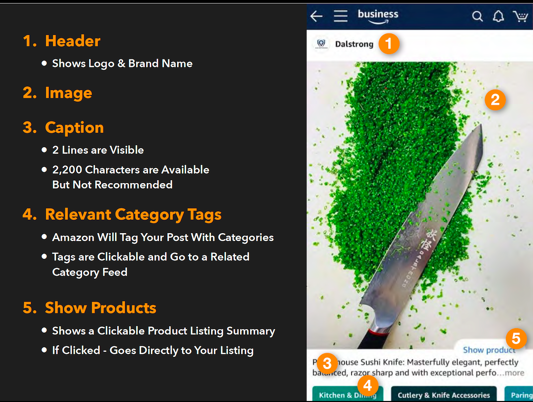 出海亚马逊引流新玩法！社交营销神器Amazon Posts怎么用？