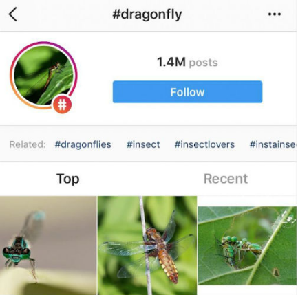 电商平台正确使用这些话题标签，将帮助品牌在Instagram上推广效果翻倍！