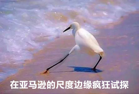 b2b如何寻找亚马逊上Top reviewer？获取高效优质评论有哪几招？