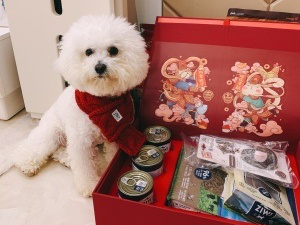 出海天猫国际38女王节：全日空“云入驻”，10万新品“云上新”