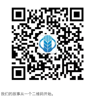 跨境电商物流怎样快速获取review，冲刺一波旺季？