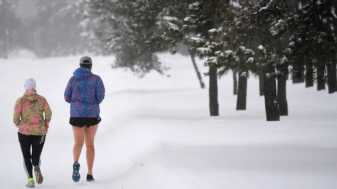 1614756473585198.png b2b椭圆机需求增长250%!多款体育用品在俄罗斯大卖