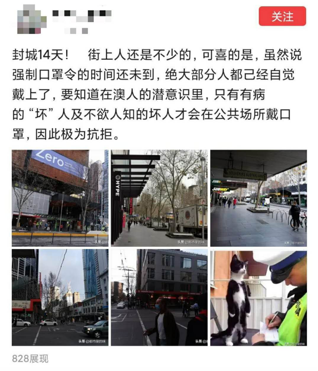 出海资讯欧美“强制口罩令”袭来，卖家一晚大卖300+