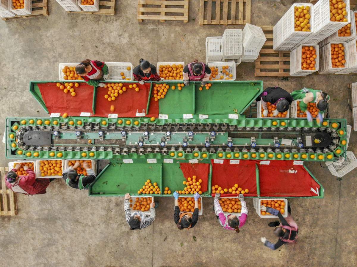 b2b天猫双11深夜“吃货”凶猛：1小时350万片牛排、300万瓶葡萄酒被抢光